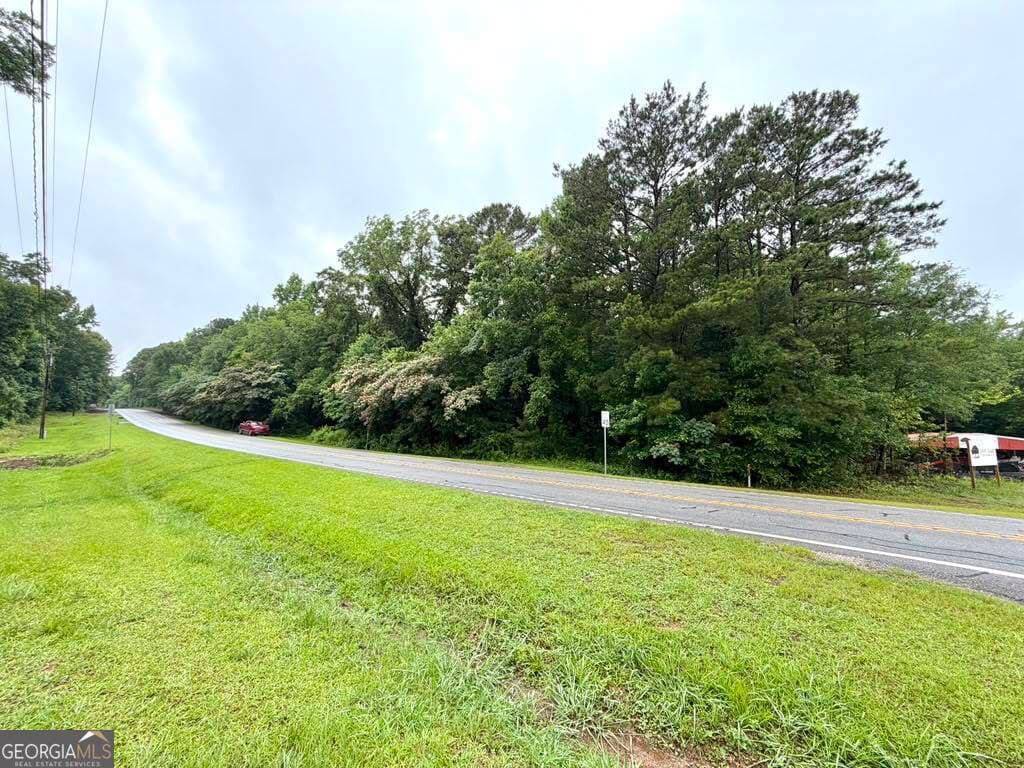 unimproved land for sale at 0 Ga Highway 85, Waverly Hall, GA 31831 — photo 1 of 5