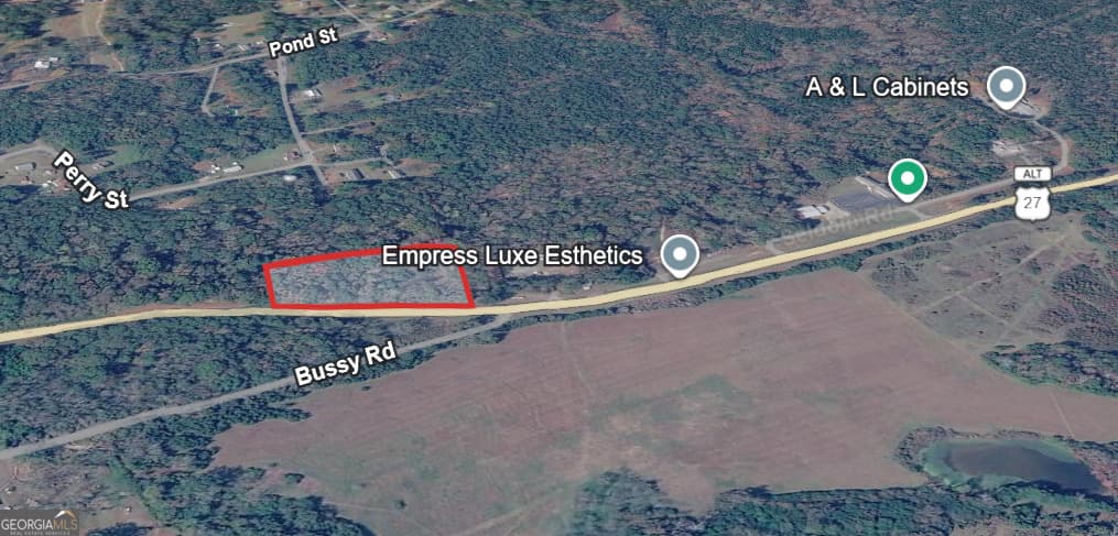 unimproved land for sale at 0 Ga Highway 85, Waverly Hall, GA 31831 — photo 4