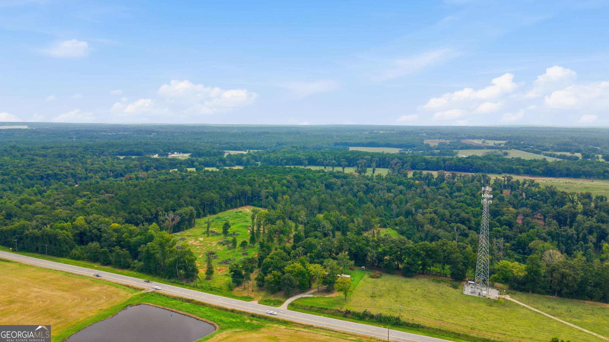 agriculture for sale at 0 Greensboro Road, Eatonton, GA 31024 — photo 3