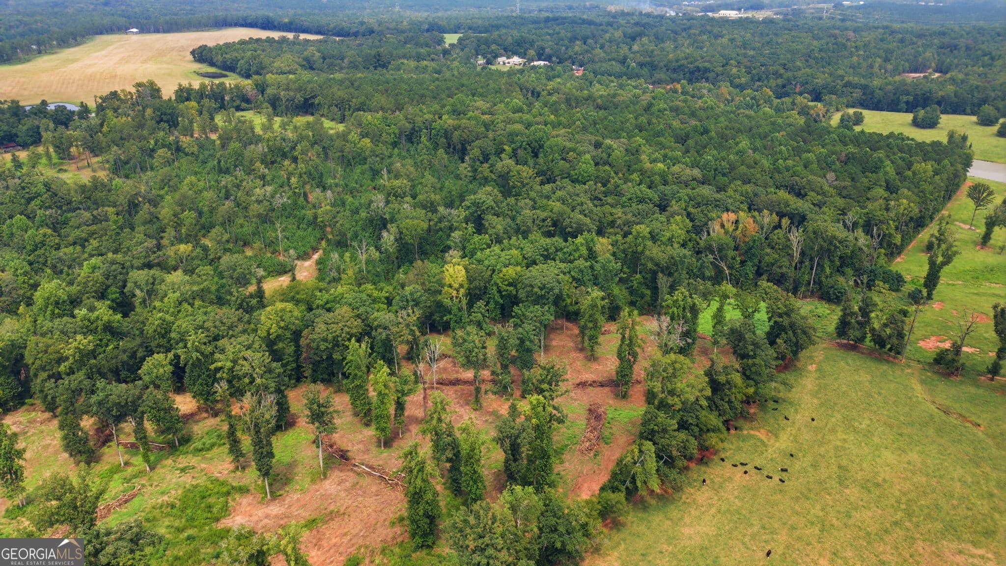 agriculture for sale at 0 Greensboro Road, Eatonton, GA 31024 — photo 10