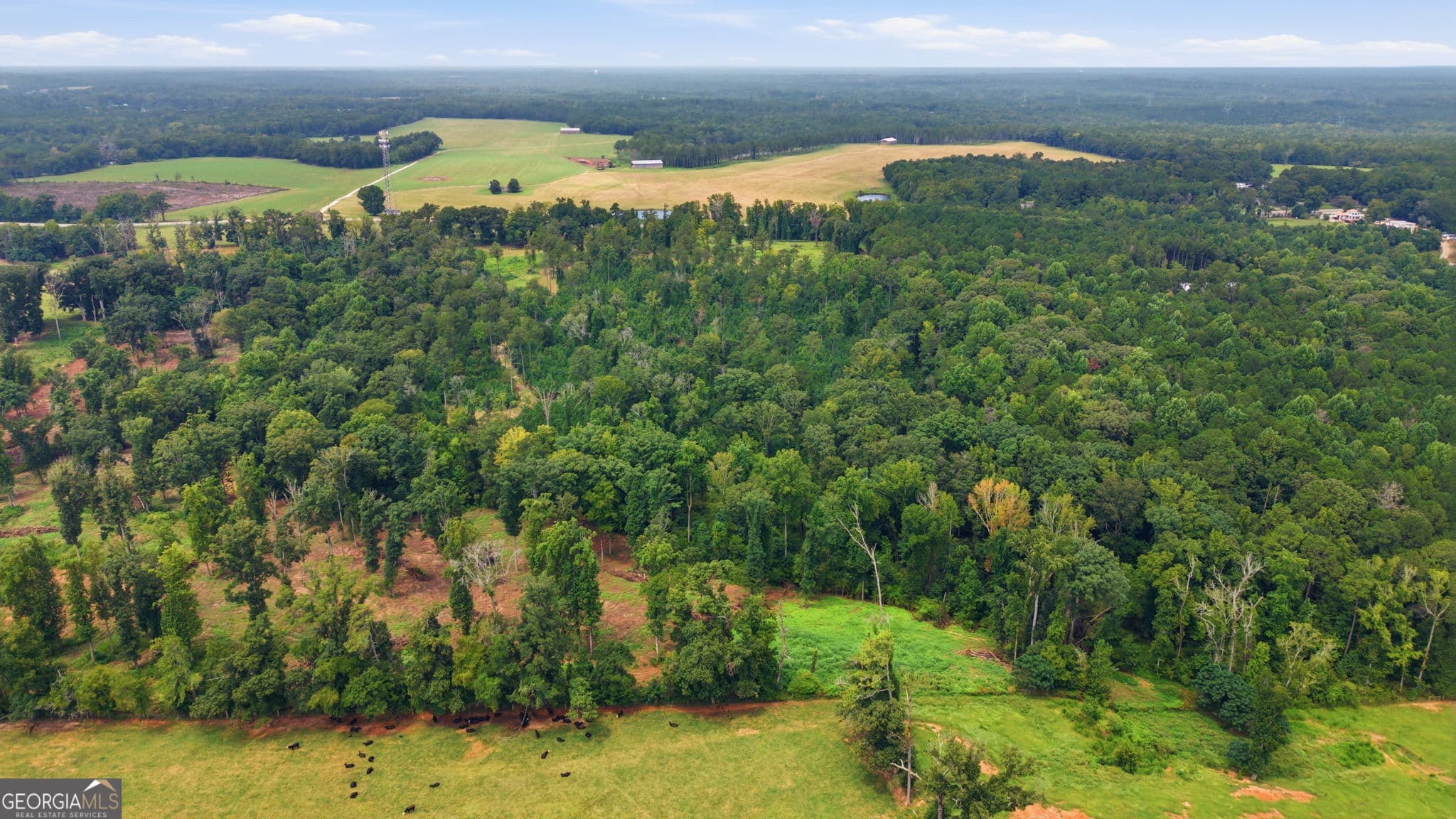 agriculture for sale at 0 Greensboro Road, Eatonton, GA 31024 — photo 8