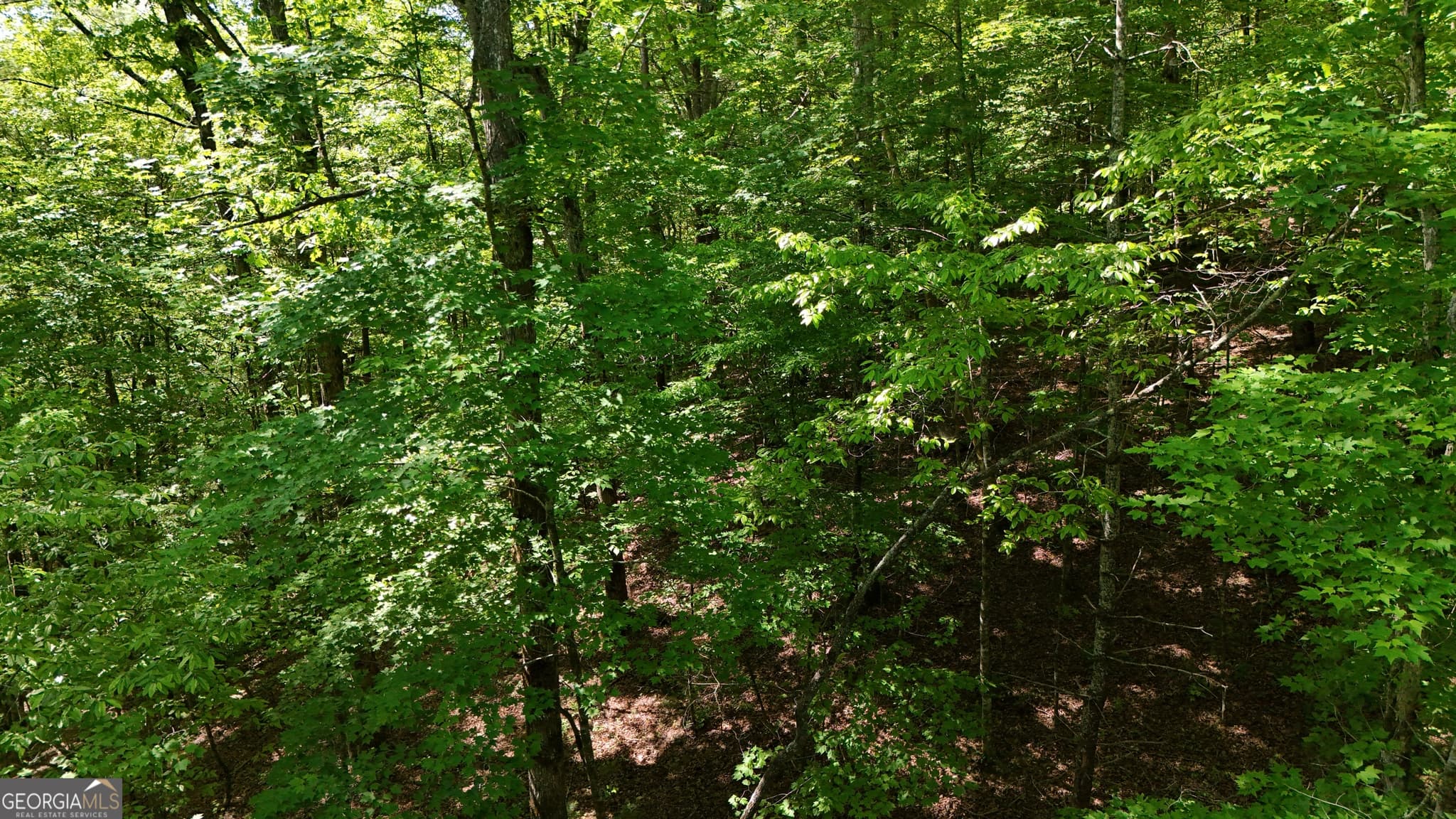 agriculture for sale at 0 Gold Springs Road, Cherry Log, GA 30522 — photo 7