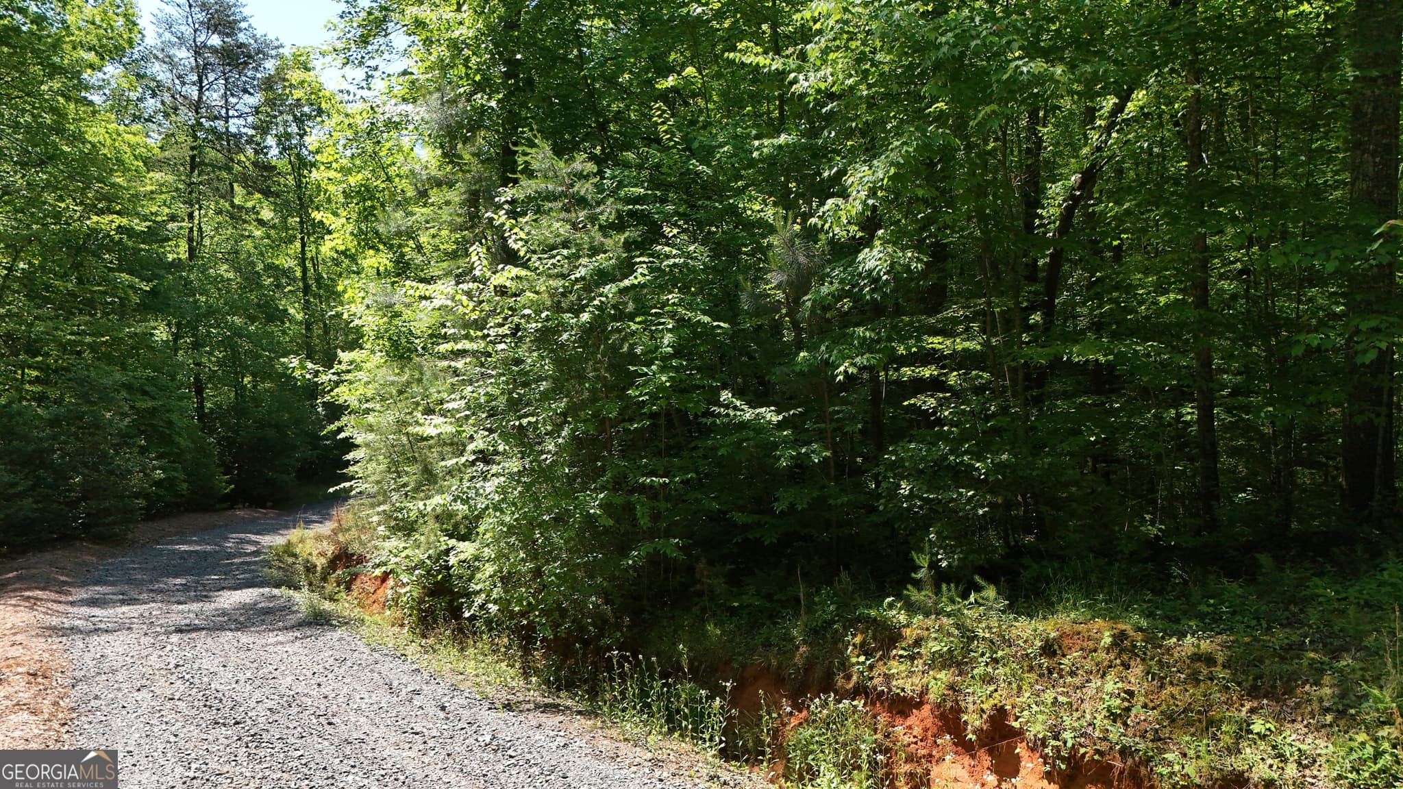 agriculture for sale at 0 Gold Springs Road, Cherry Log, GA 30522 — photo 3