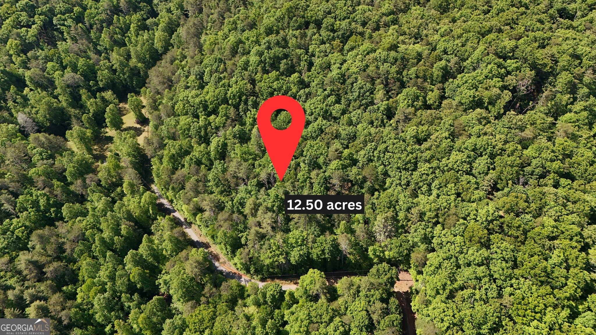 agriculture for sale at 0 Gold Springs Road, Cherry Log, GA 30522 — photo 1 of 13