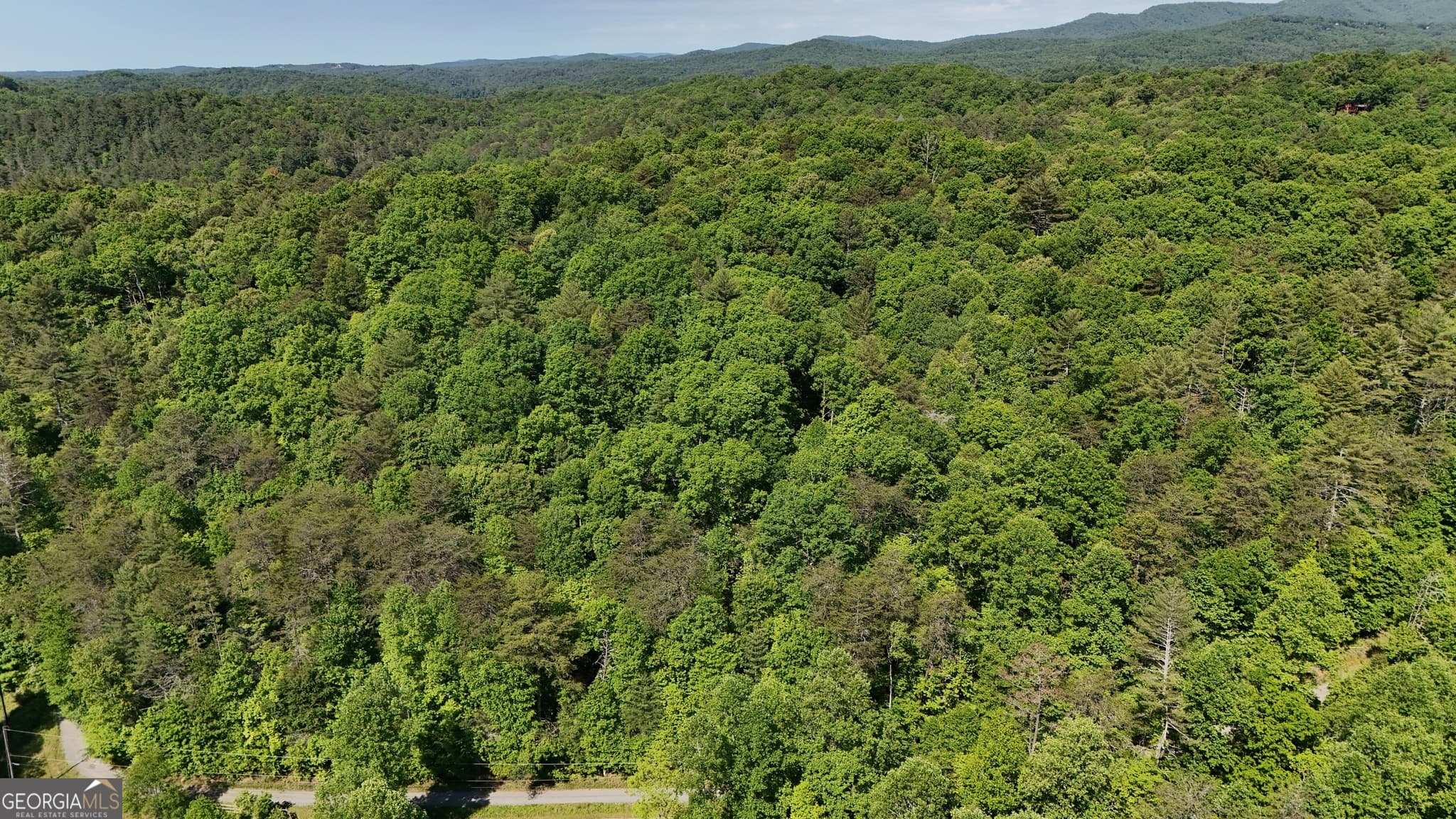 agriculture for sale at 0 Gold Springs Road, Cherry Log, GA 30522 — photo 5