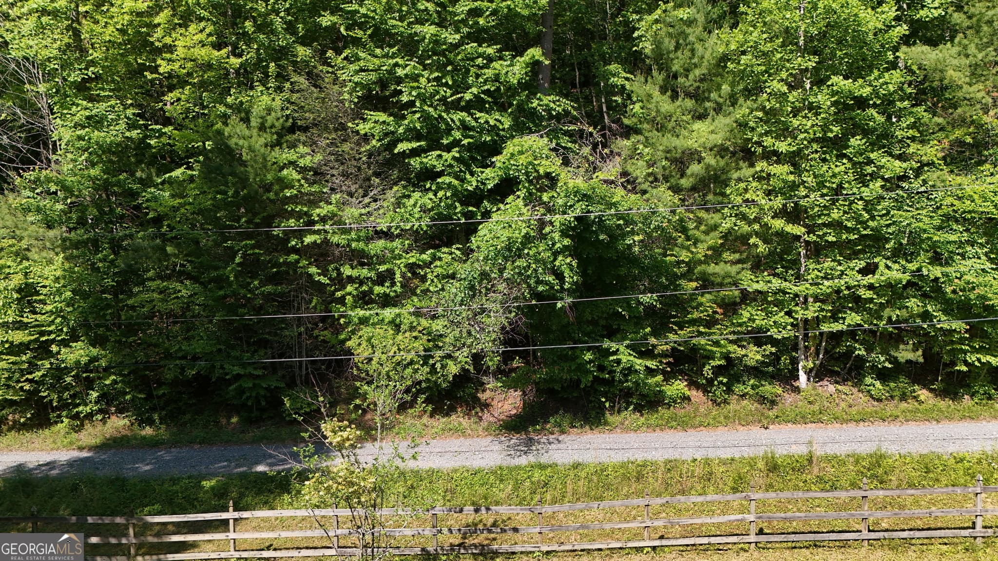 agriculture for sale at 0 Gold Springs Road, Cherry Log, GA 30522 — photo 9