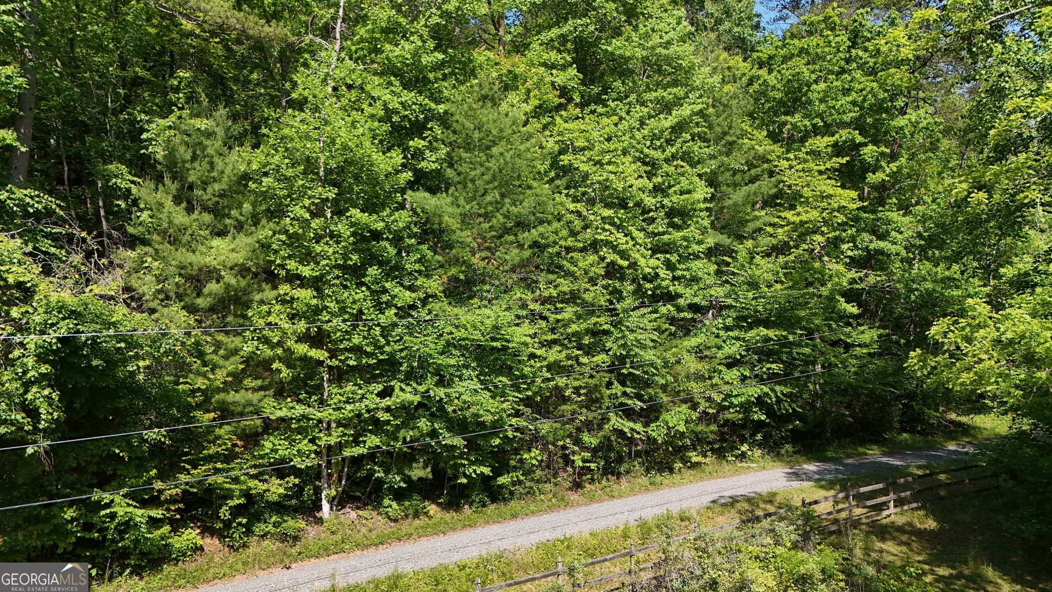 agriculture for sale at 0 Gold Springs Road, Cherry Log, GA 30522 — photo 10