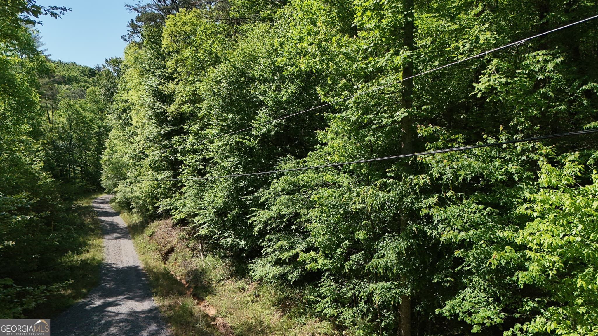 agriculture for sale at 0 Gold Springs Road, Cherry Log, GA 30522 — photo 4