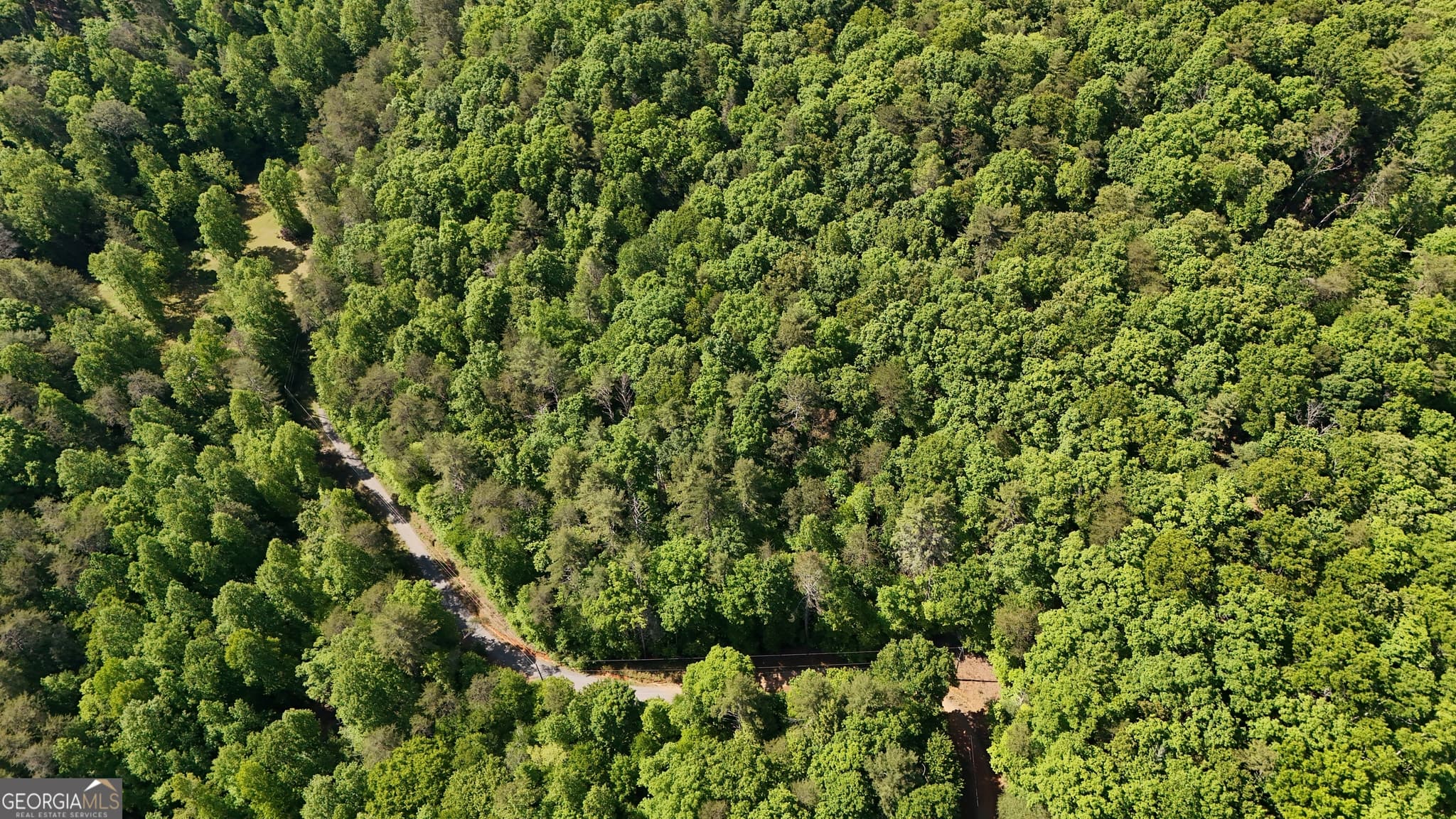 agriculture for sale at 0 Gold Springs Road, Cherry Log, GA 30522 — photo 8