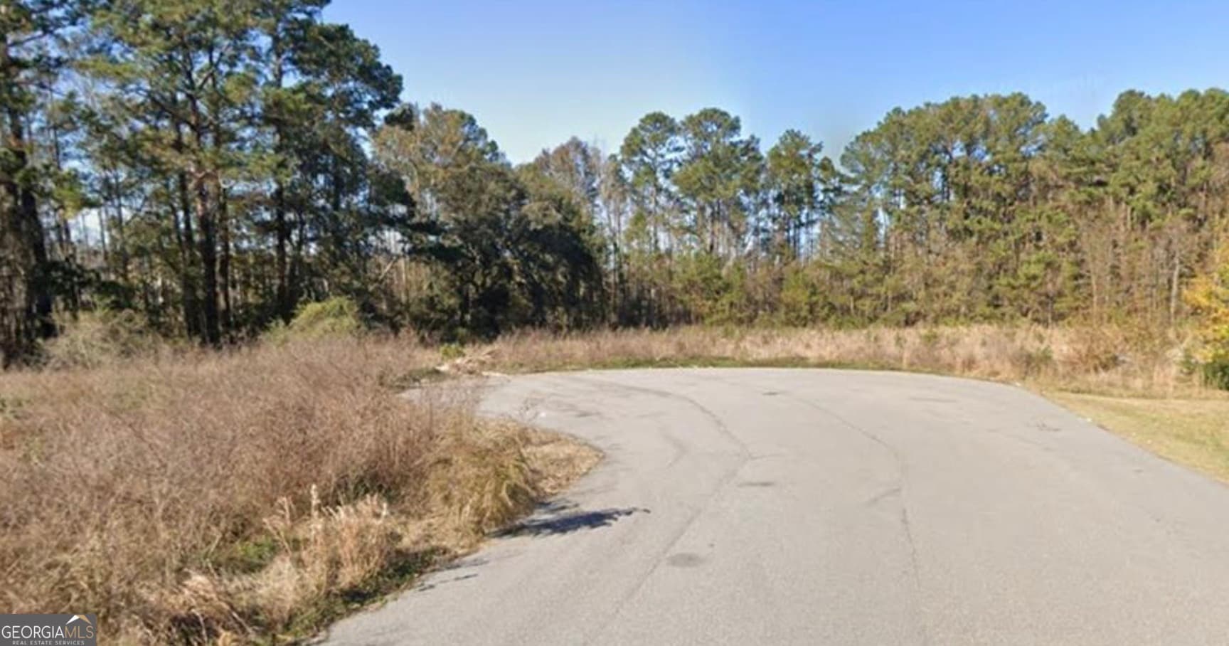 commercial for sale at 50 Wise Court, Richmond Hill, GA 31324 — photo 2