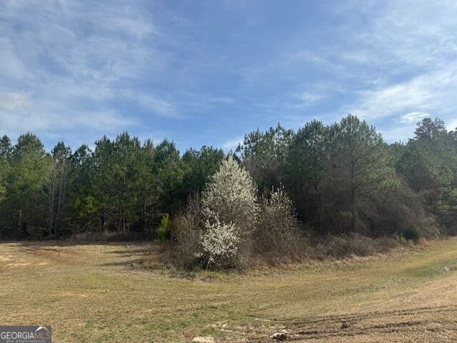 unimproved land for sale at 39 Brush Creek Park Road, Franklin, GA 30217 — photo 2