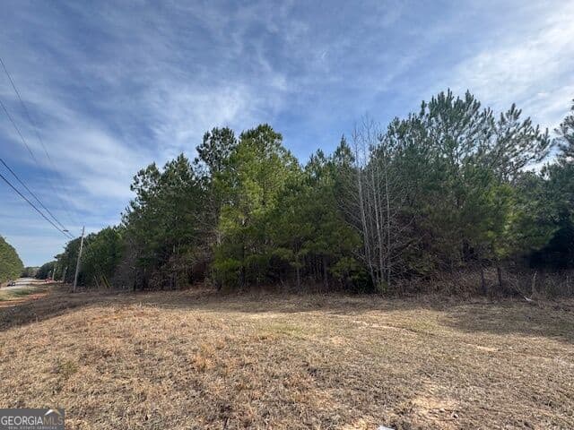 unimproved land for sale at 39 Brush Creek Park Road, Franklin, GA 30217 — photo 3