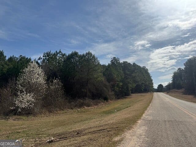 unimproved land for sale at 39 Brush Creek Park Road, Franklin, GA 30217 — photo 1 of 5