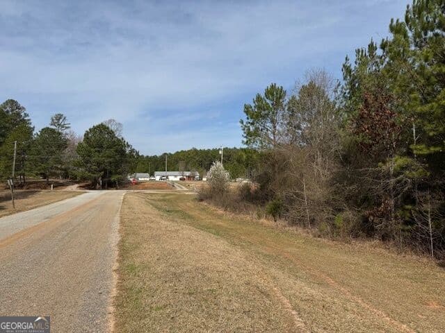 unimproved land for sale at 39 Brush Creek Park Road, Franklin, GA 30217 — photo 4