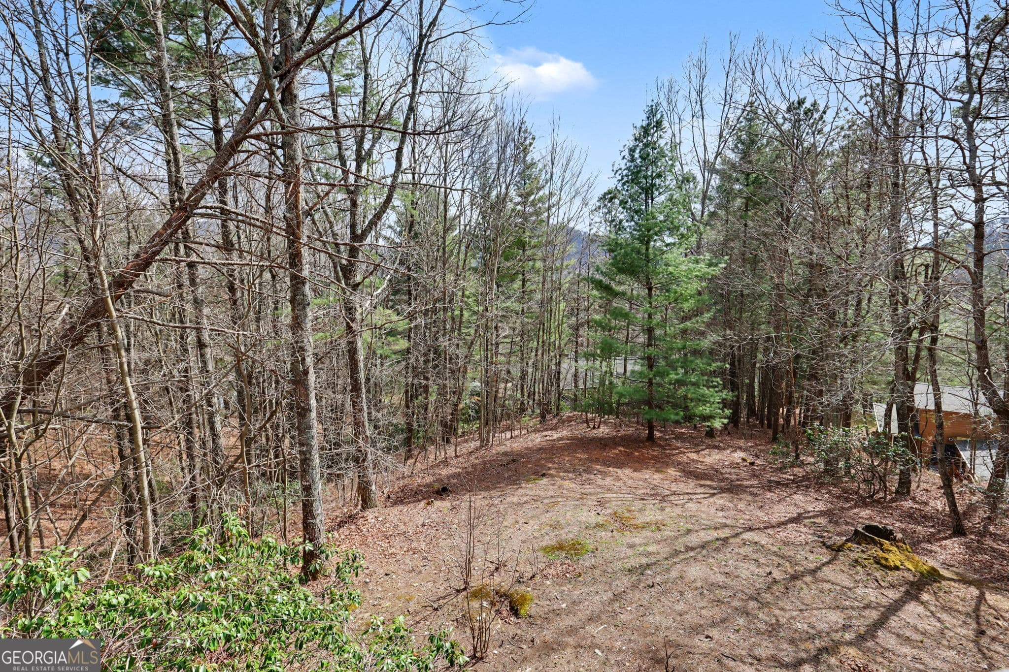 3 bedroom, 3 bathroom, 2,151 sq ft single family residence for sale at 594 Sky High Drive, Sky Valley, GA 30537 — photo 10