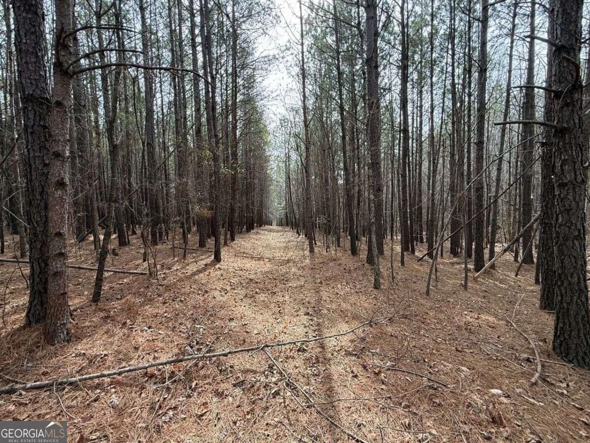 unimproved land for sale at 3616 Thompson Mill Road, Buford, GA 30519 — photo 6