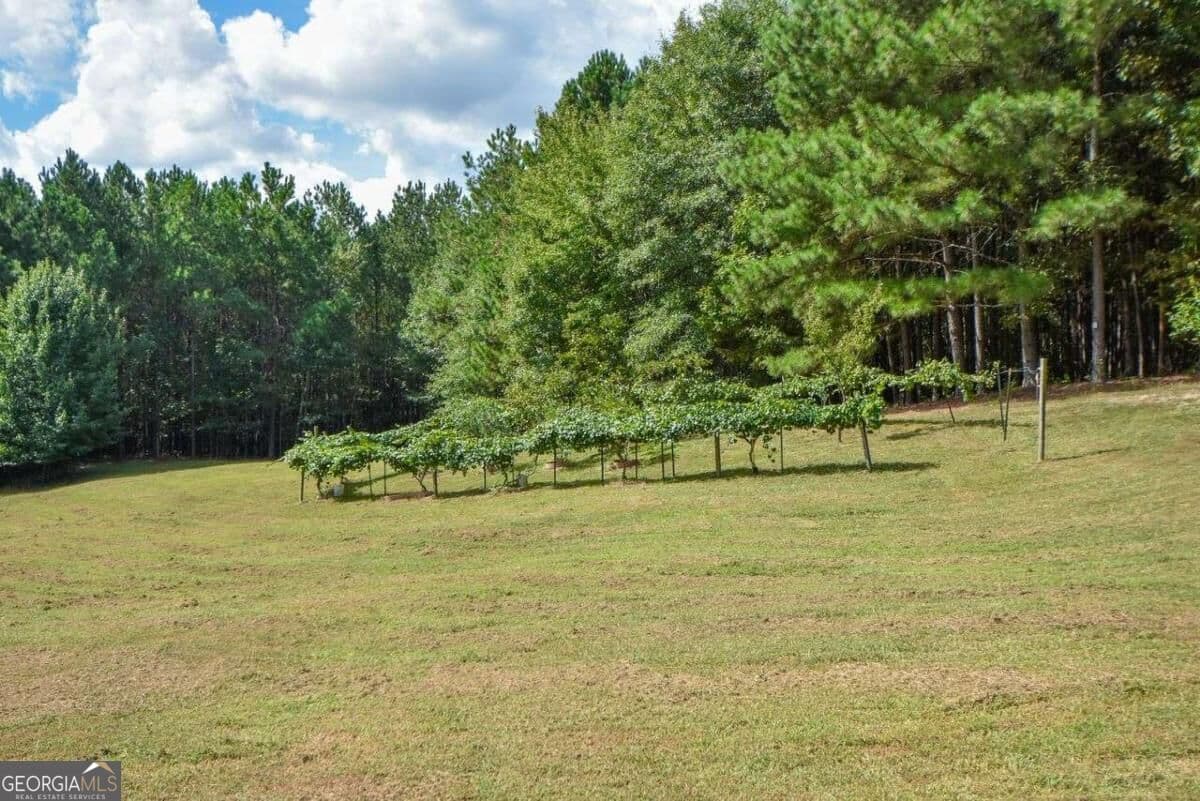 unimproved land for sale at 3616 Thompson Mill Road, Buford, GA 30519 — photo 4