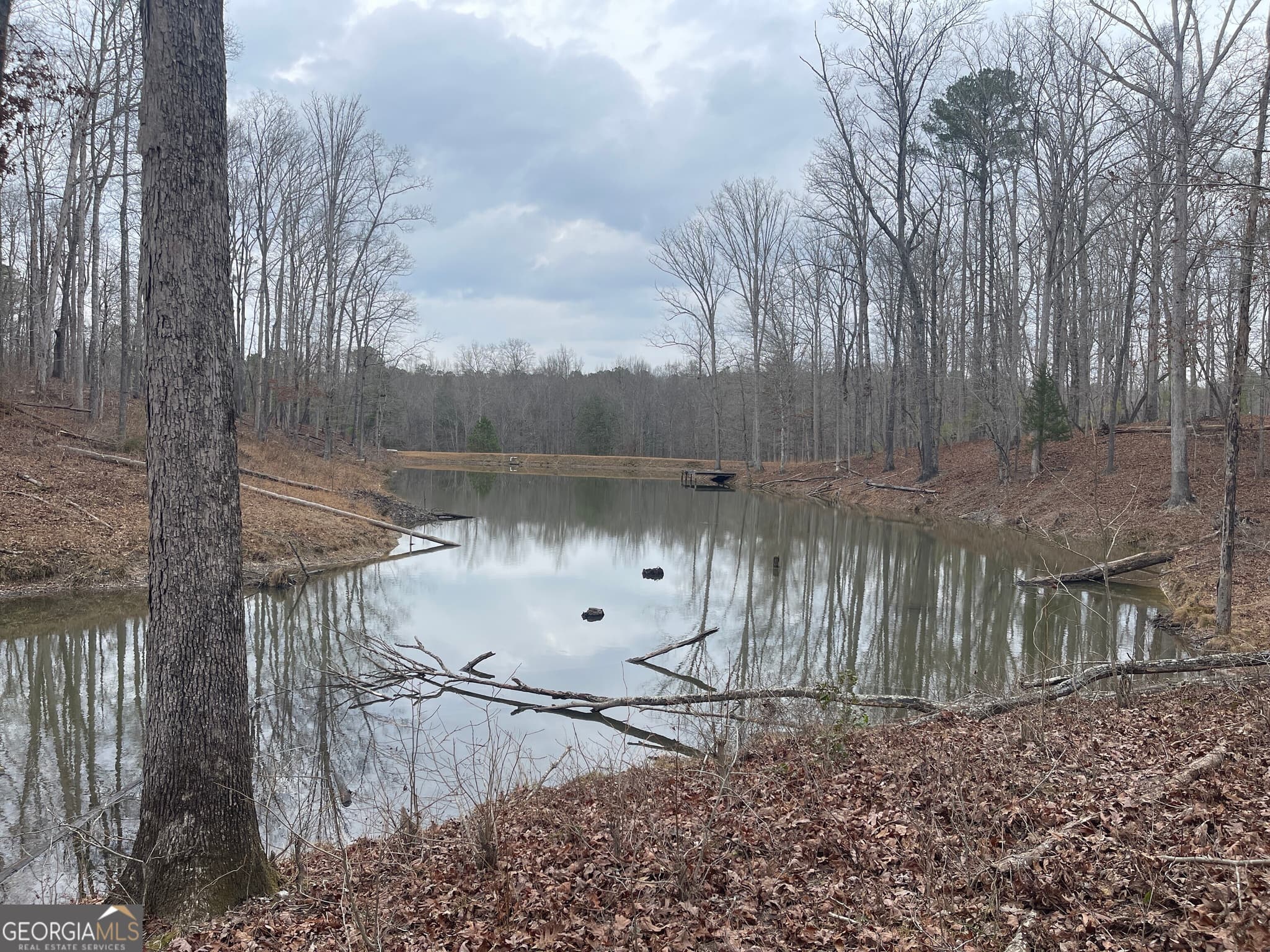 agriculture for sale at 0 Whiteside Road, Chattahoochee Hills, GA 30268 — photo 6