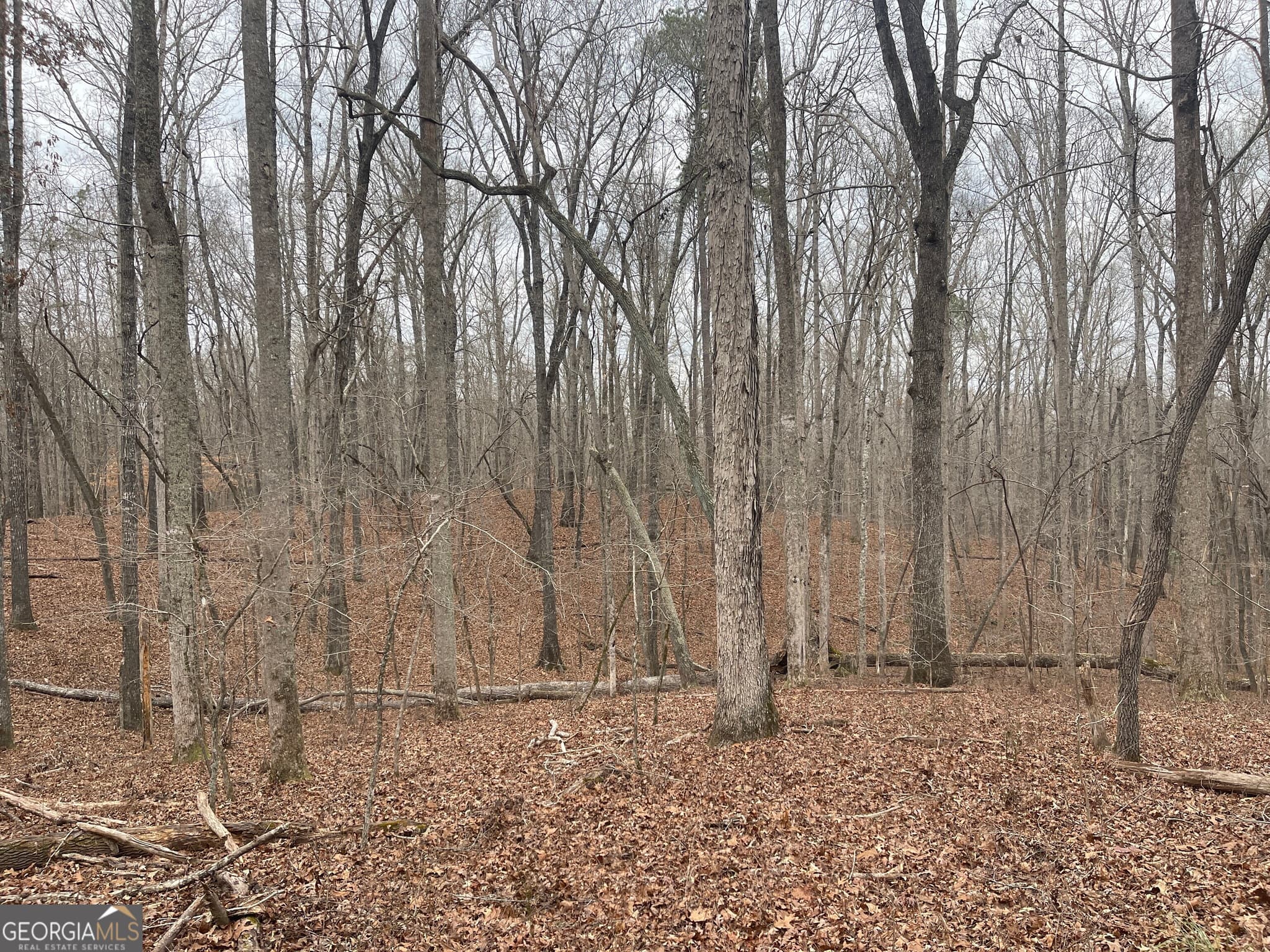 agriculture for sale at 0 Whiteside Road, Chattahoochee Hills, GA 30268 — photo 7