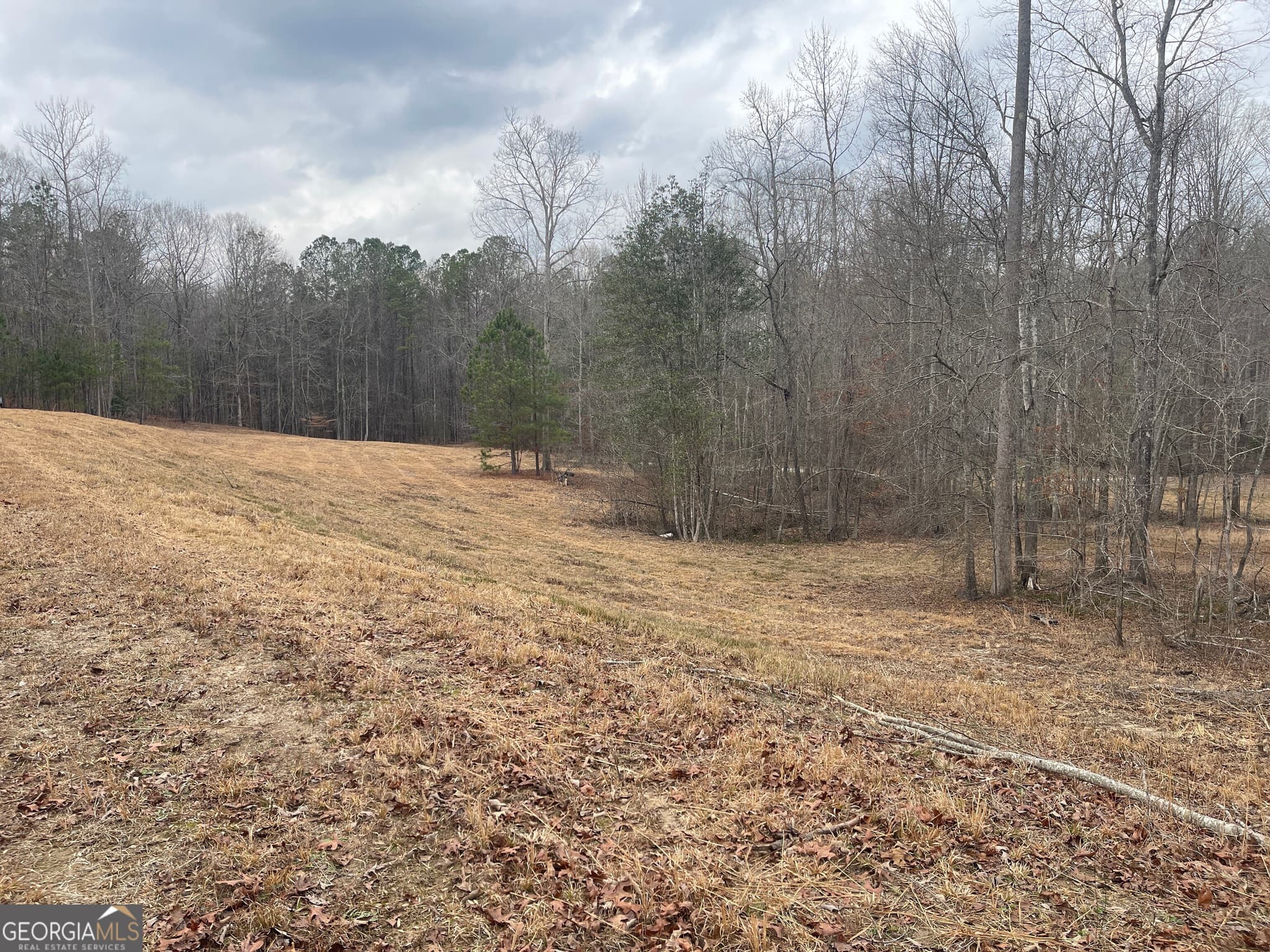 agriculture for sale at 0 Whiteside Road, Chattahoochee Hills, GA 30268 — photo 3