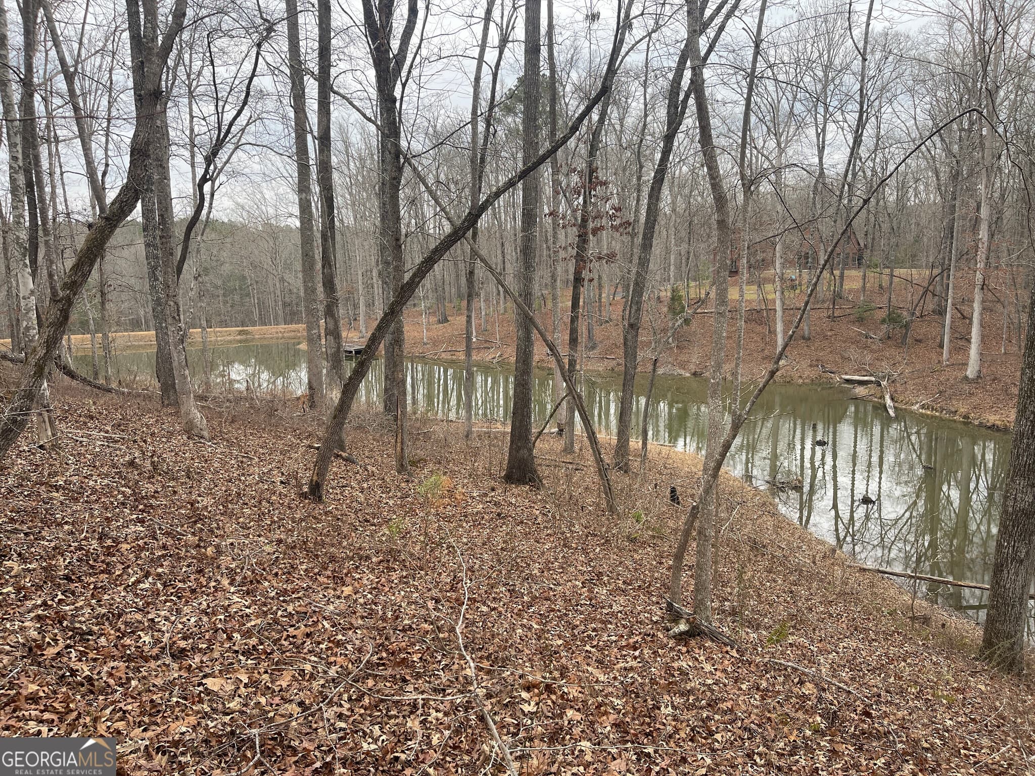 agriculture for sale at 0 Whiteside Road, Chattahoochee Hills, GA 30268 — photo 5