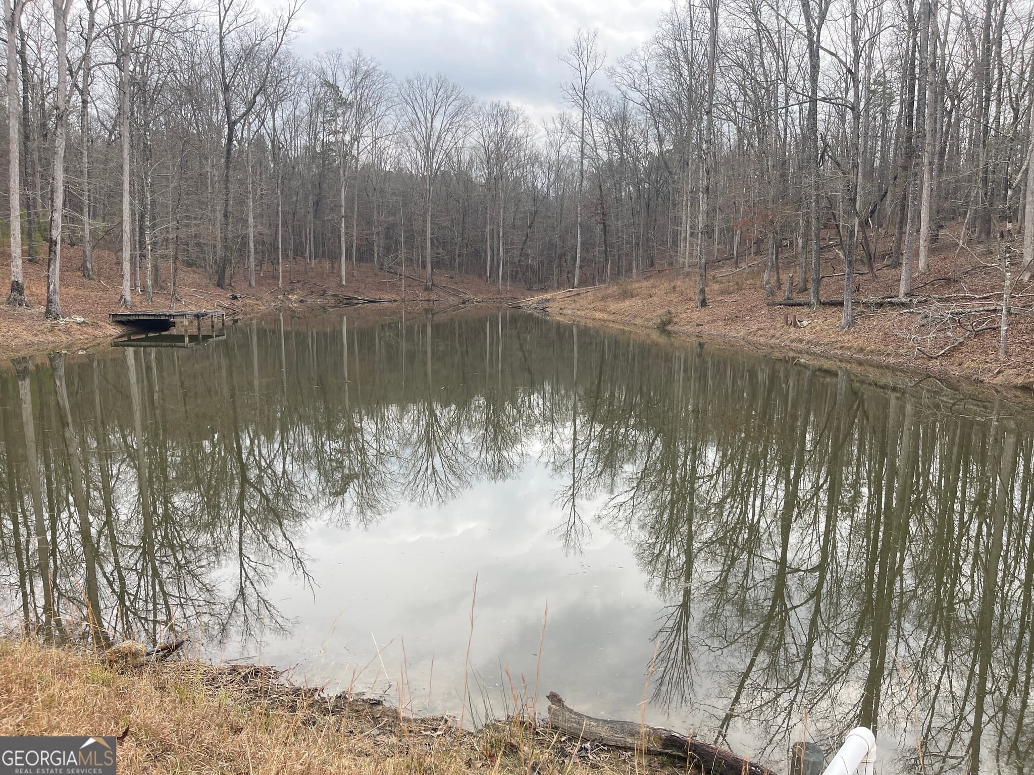 agriculture for sale at 0 Whiteside Road, Chattahoochee Hills, GA 30268 — photo 4