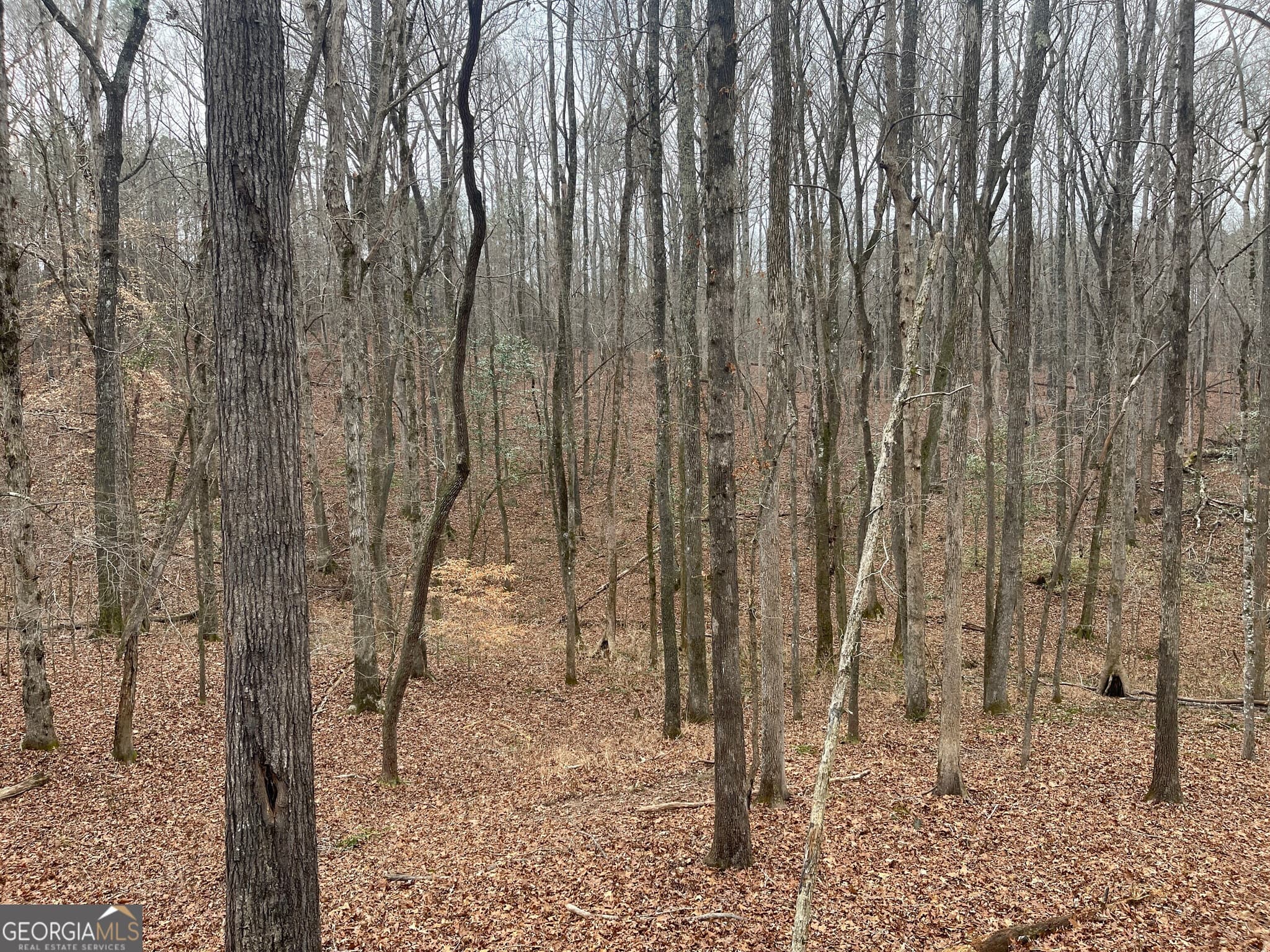 agriculture for sale at 0 Whiteside Road, Chattahoochee Hills, GA 30268 — photo 8
