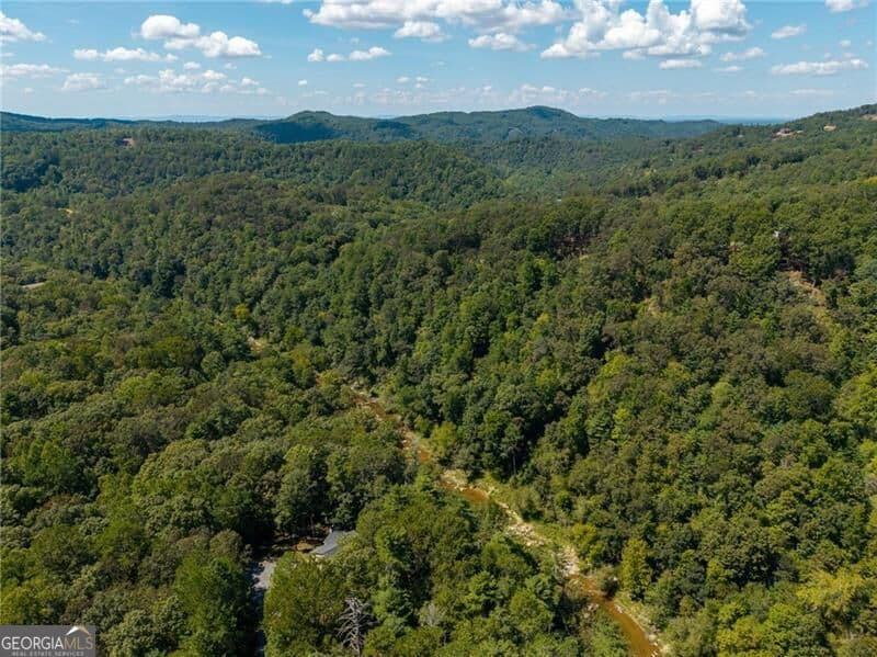 2 bedroom, 2.5 bathroom, 1,321 sq ft single family residence for sale at 1275 Marie Drive, Ellijay, GA 30540 — photo 10