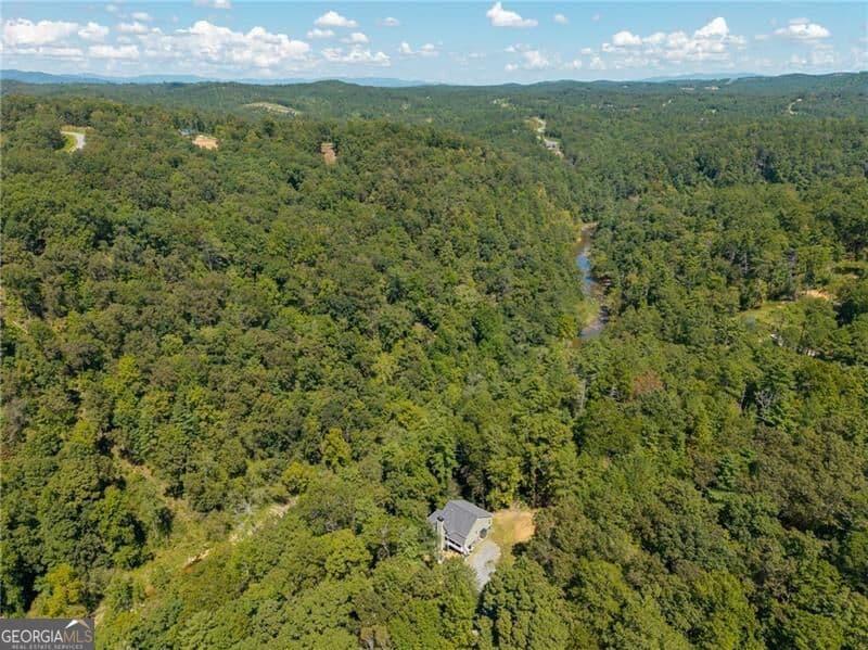 2 bedroom, 2.5 bathroom, 1,321 sq ft single family residence for sale at 1275 Marie Drive, Ellijay, GA 30540 — photo 8