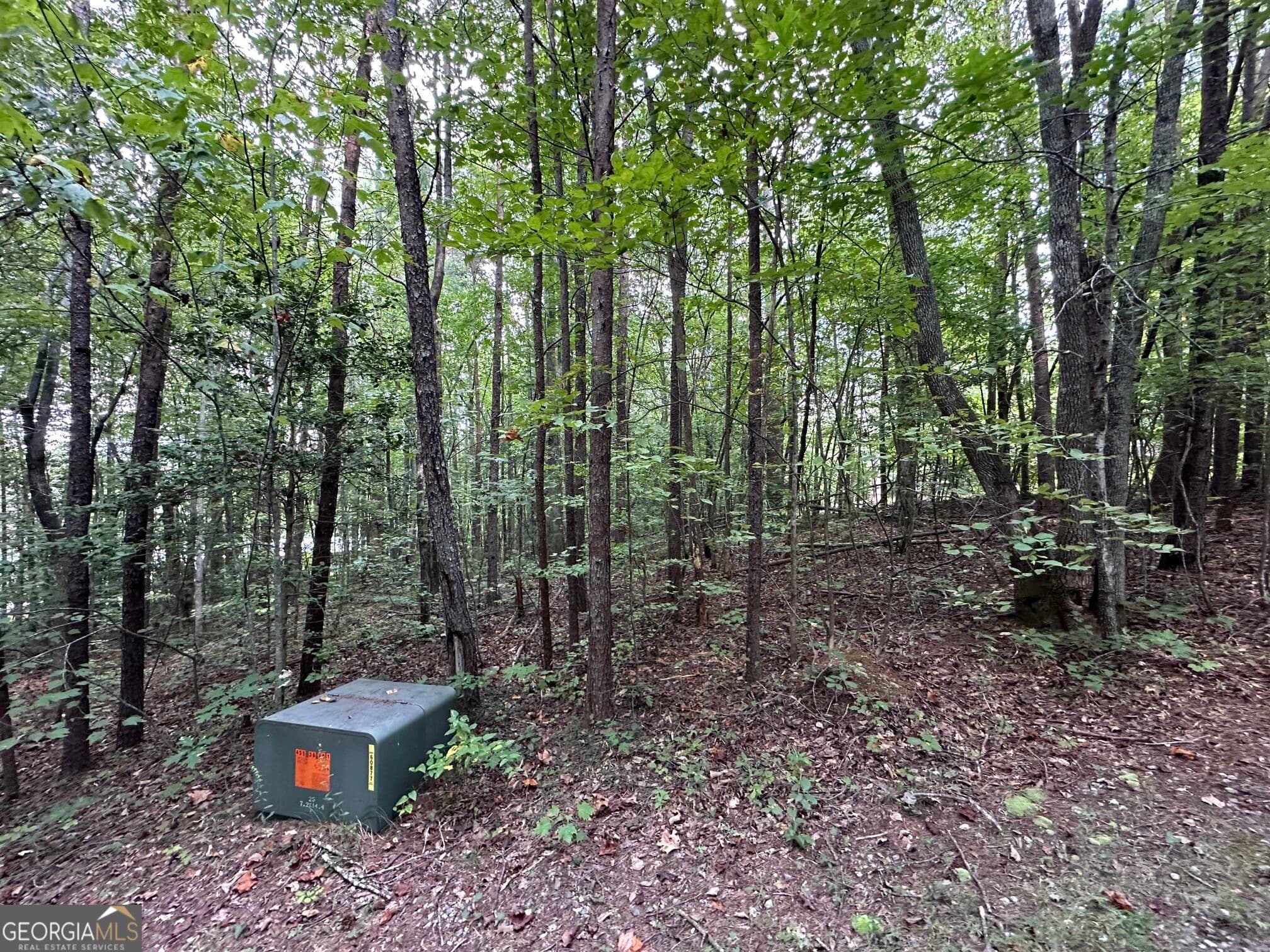 residential lot for sale at 368 Harkins Road, Cleveland, GA 30528 — photo 6
