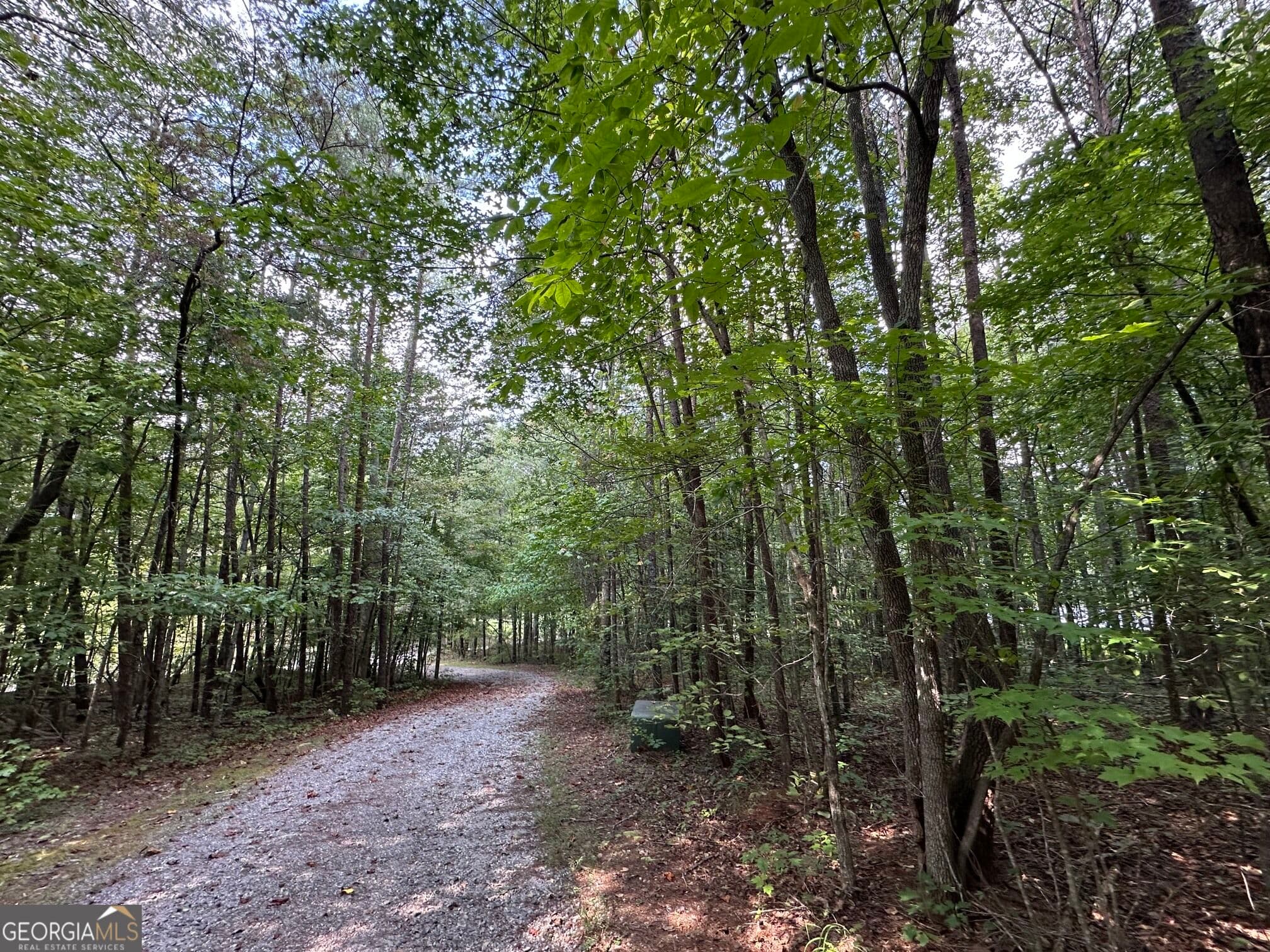 residential lot for sale at 368 Harkins Road, Cleveland, GA 30528 — photo 3