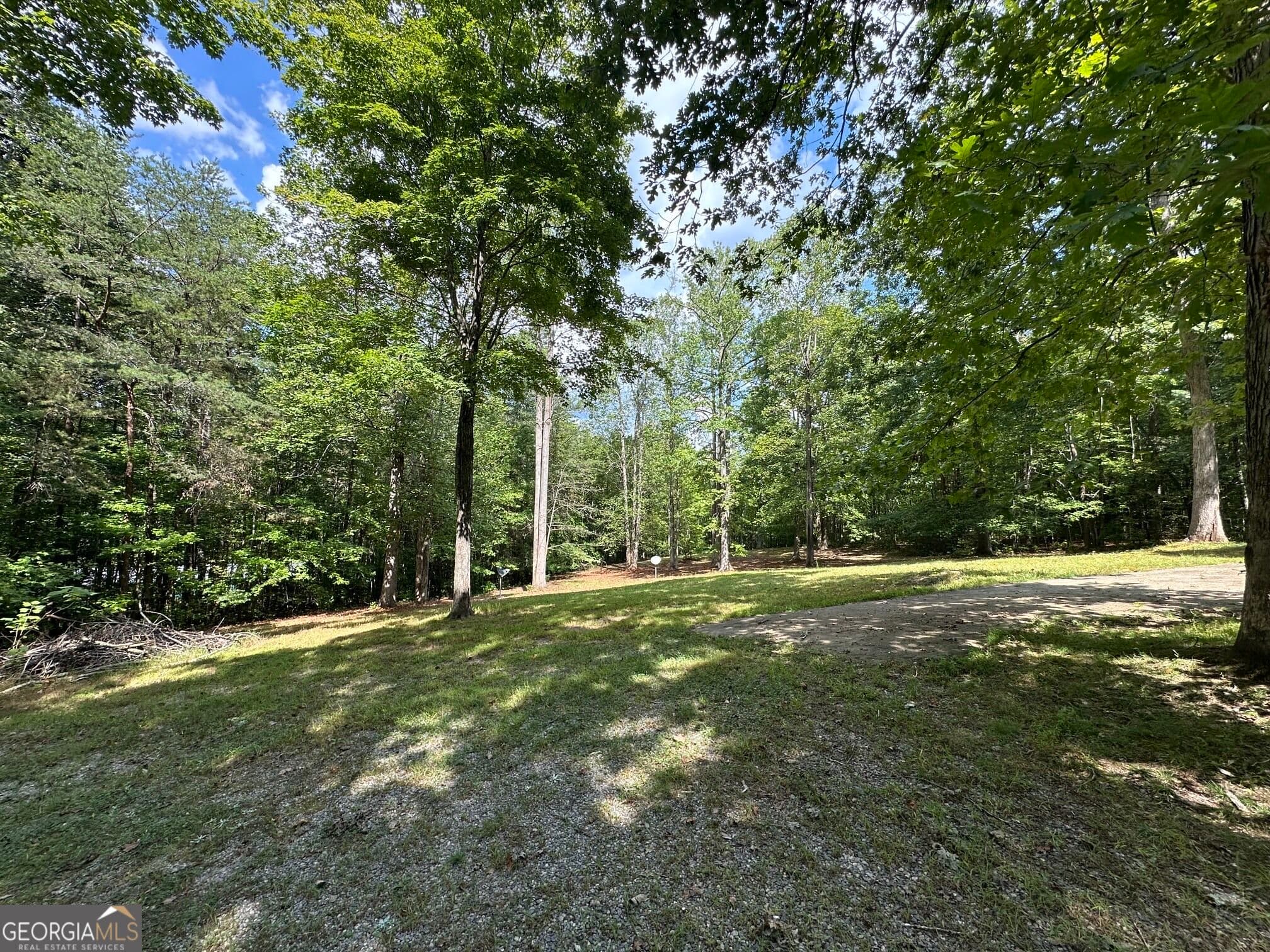 residential lot for sale at 368 Harkins Road, Cleveland, GA 30528 — photo 10
