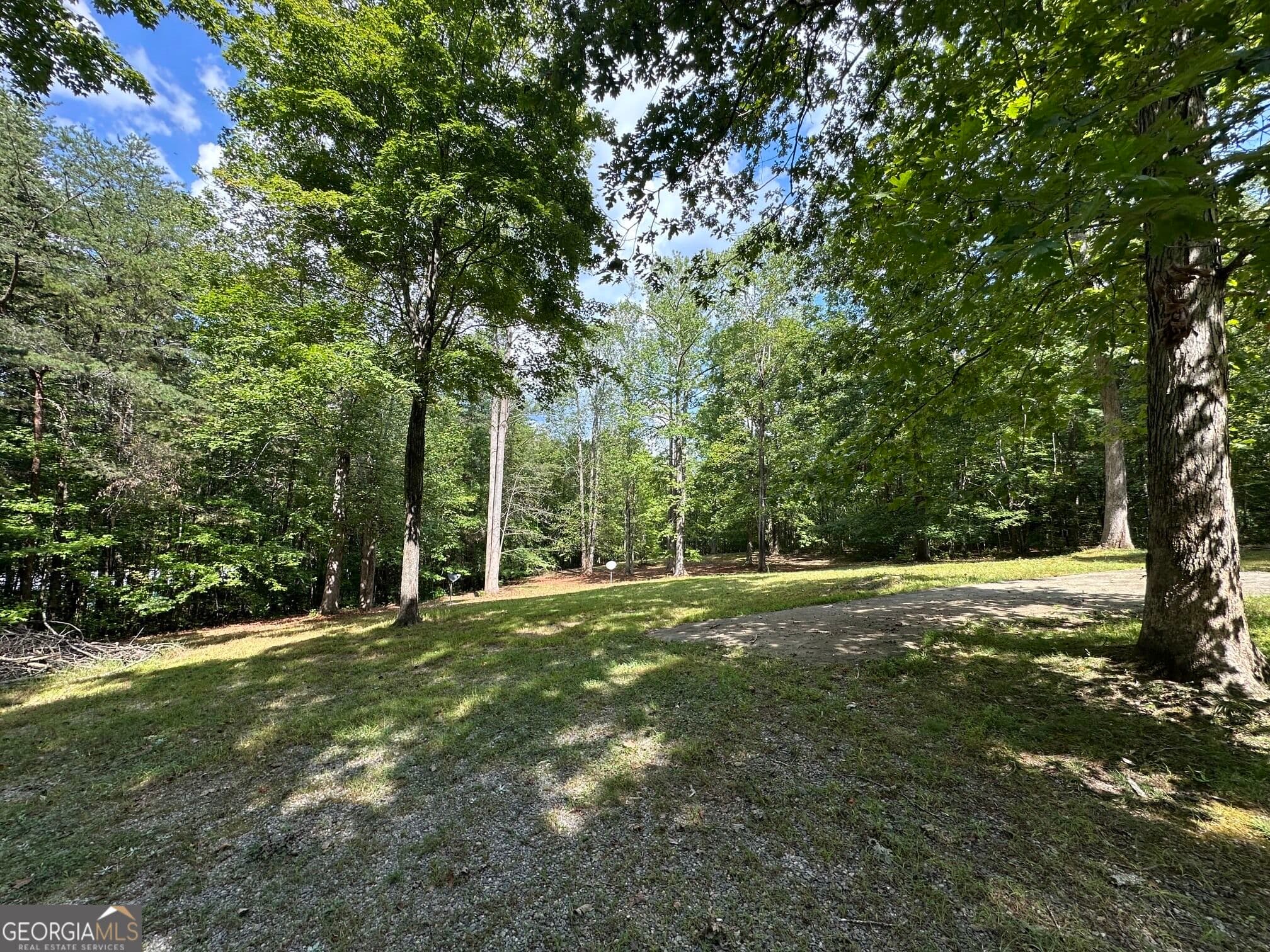 residential lot for sale at 368 Harkins Road, Cleveland, GA 30528 — photo 4
