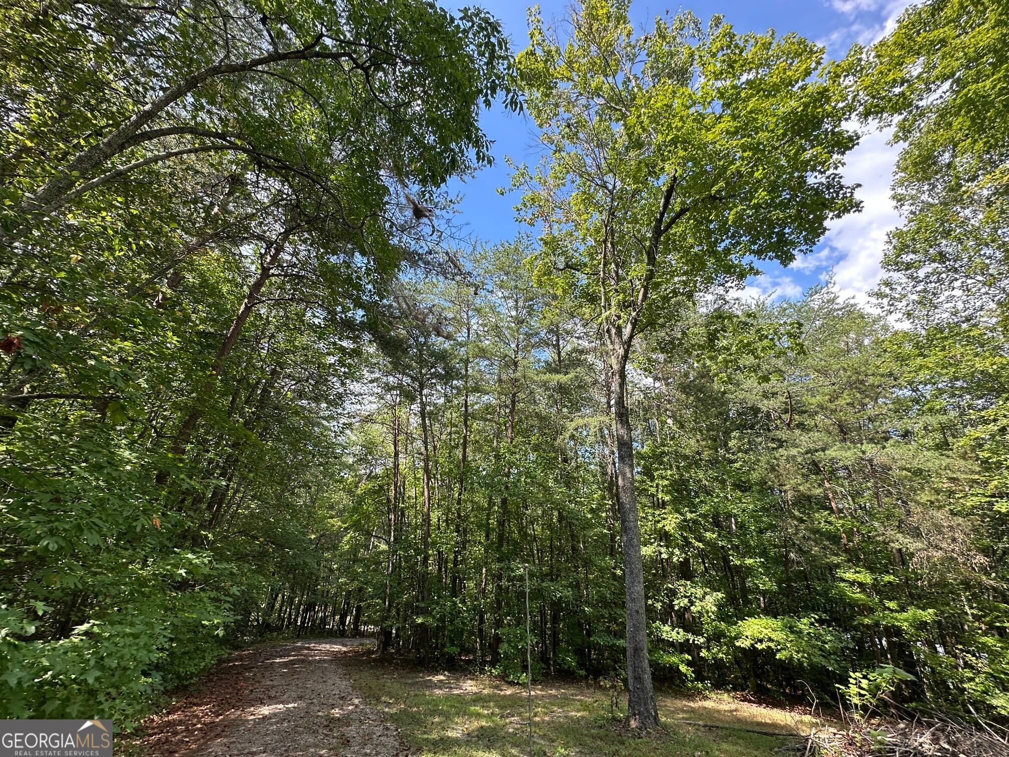 residential lot for sale at 368 Harkins Road, Cleveland, GA 30528 — photo 8
