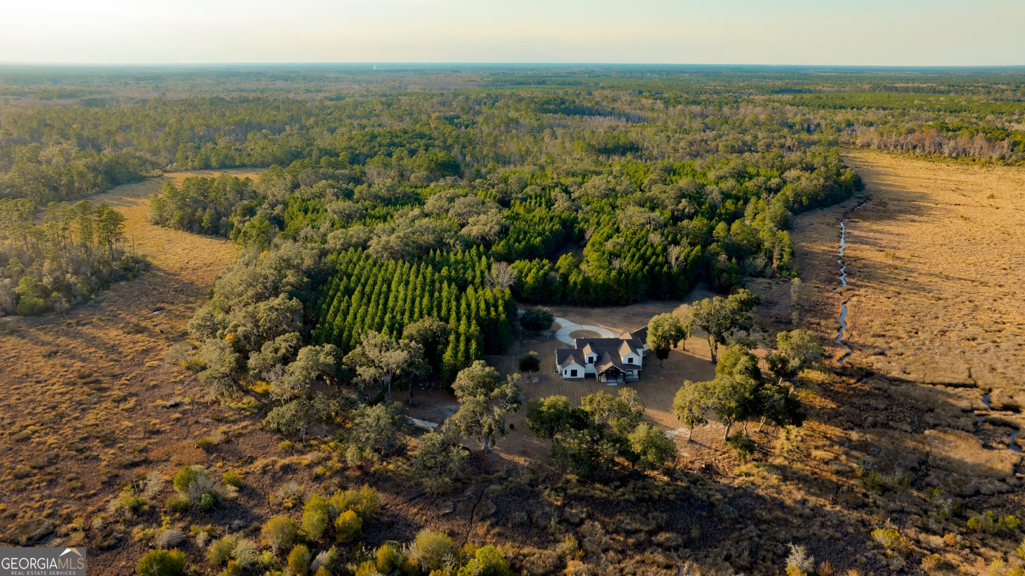 4 bedroom, 5.5 bathroom, 5,300 sq ft farm for sale at 4577 N Coastal Highway, Fleming, GA 31309 — photo 7
