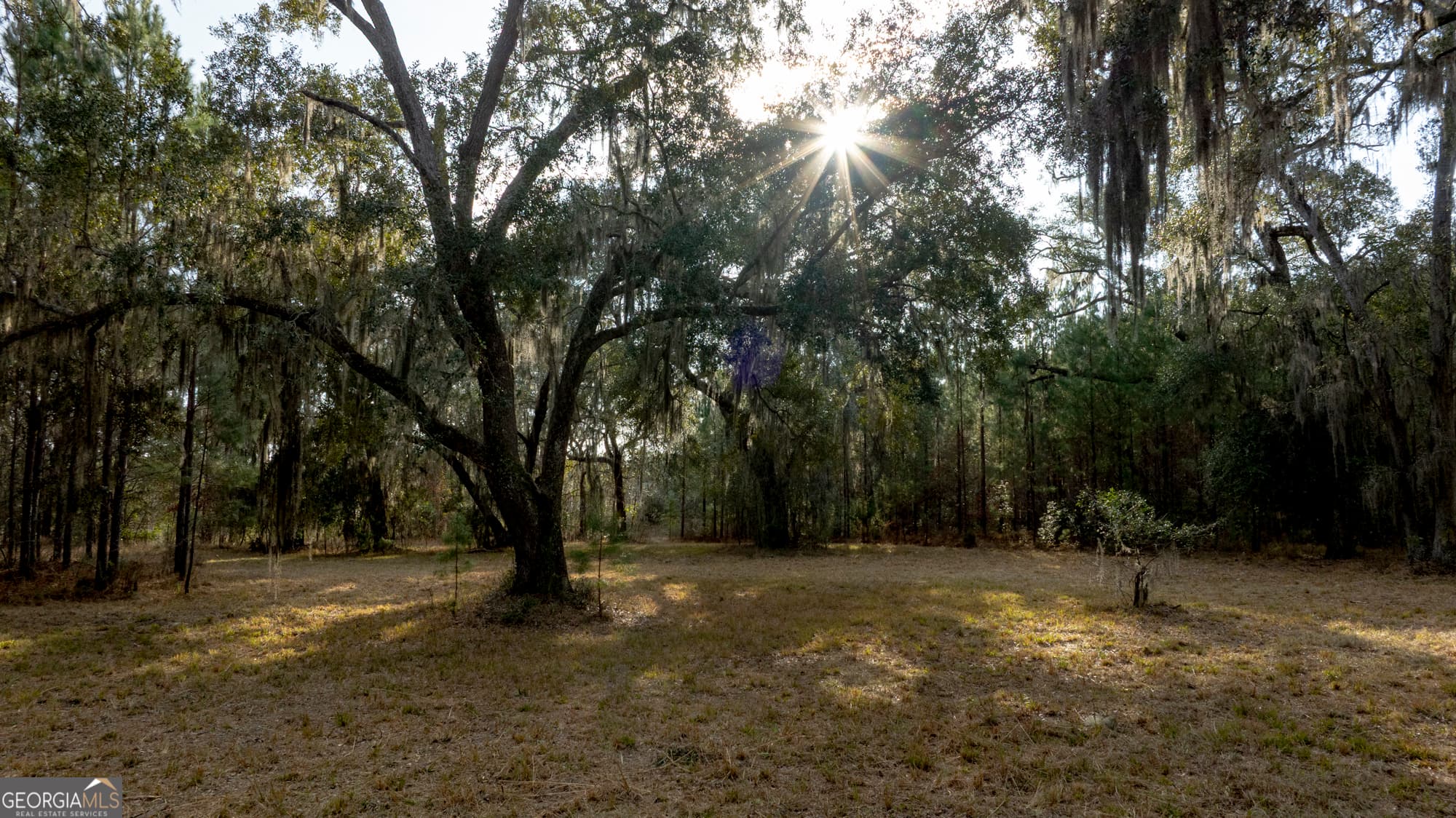 4 bedroom, 5.5 bathroom, 5,300 sq ft farm for sale at 4577 N Coastal Highway, Fleming, GA 31309 — photo 5