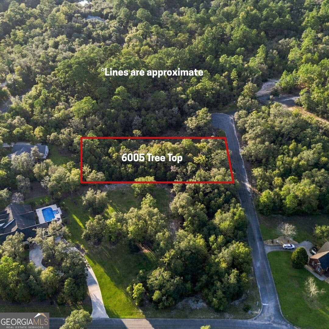 residential lot for sale at 6005 & 6007 Tree Top Lane, Blackshear, GA 31516 — photo 2