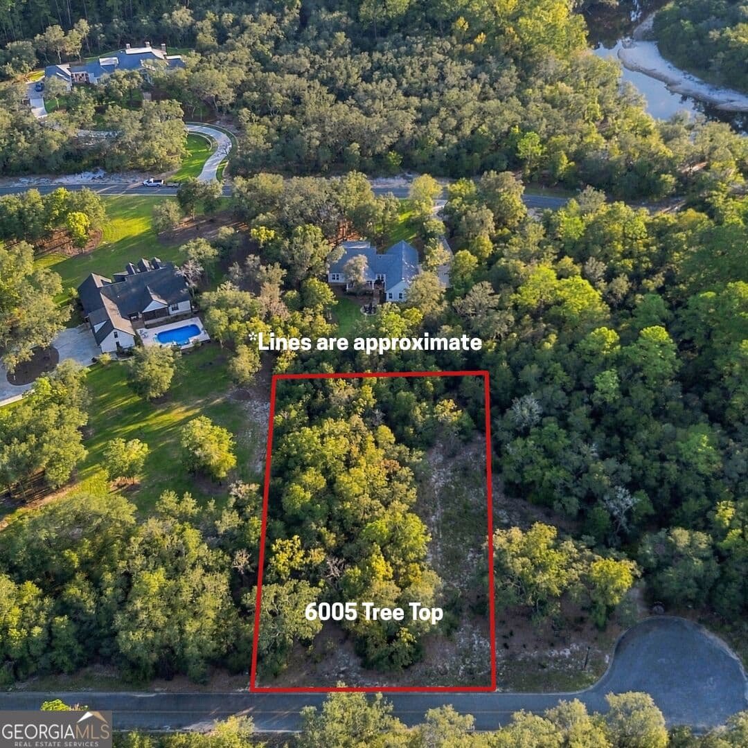 residential lot for sale at 6005 & 6007 Tree Top Lane, Blackshear, GA 31516 — photo 3