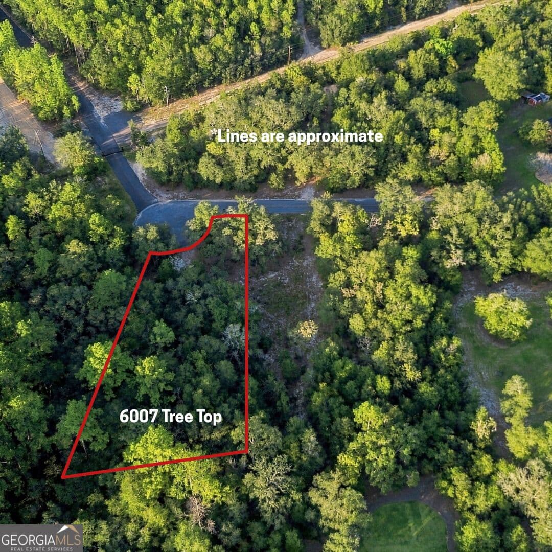 residential lot for sale at 6005 & 6007 Tree Top Lane, Blackshear, GA 31516 — photo 5