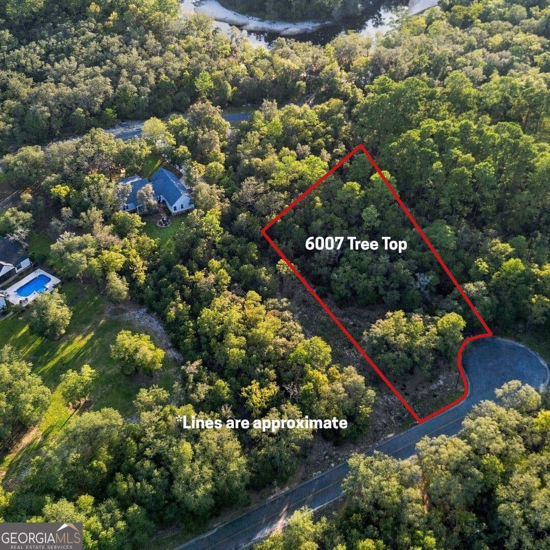 residential lot for sale at 6005 & 6007 Tree Top Lane, Blackshear, GA 31516 — photo 4