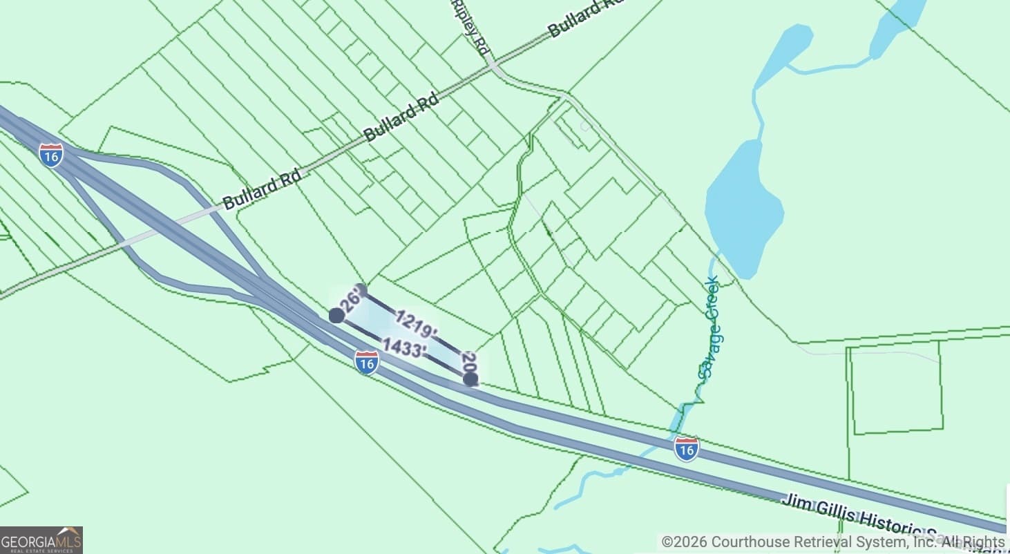 unimproved land for sale at 0 Noah Thomas Road, Dry Branch, GA 31020 — photo 2