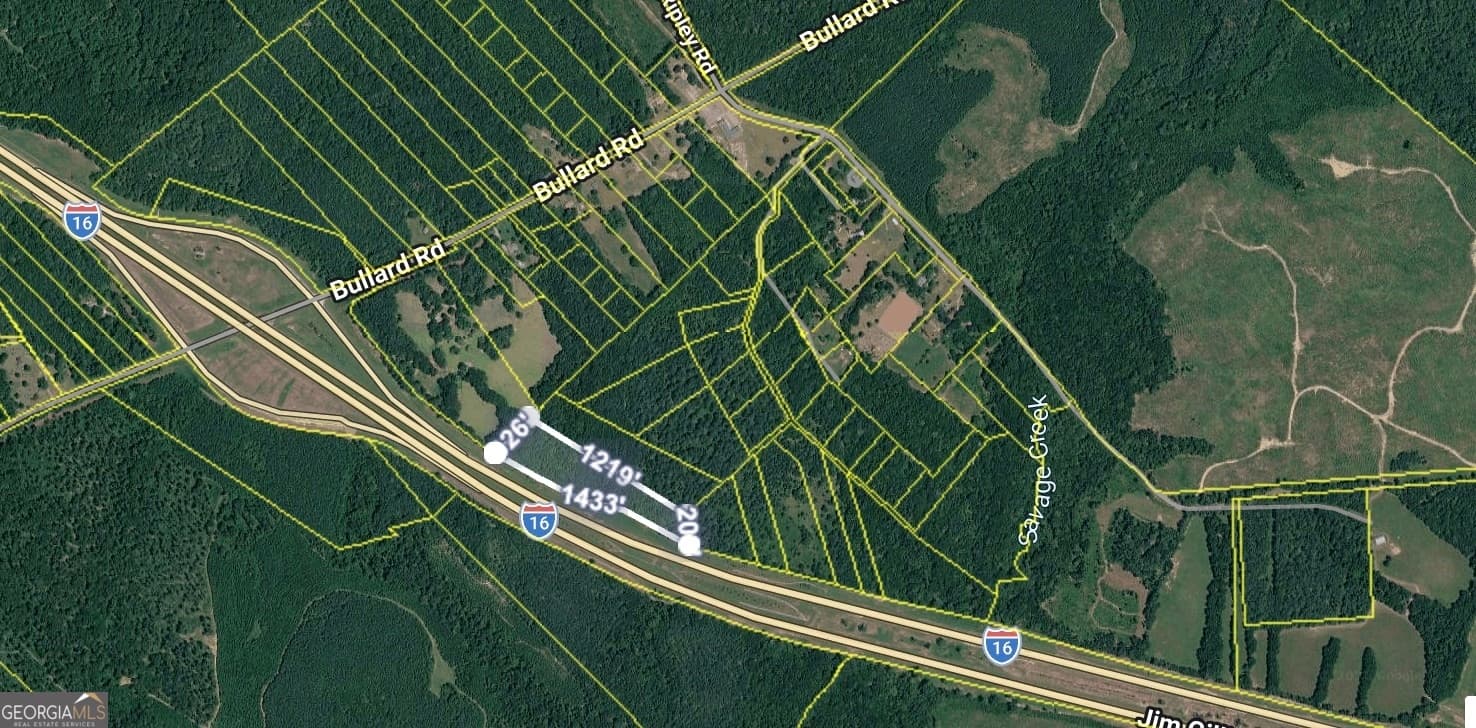unimproved land for sale at 0 Noah Thomas Road, Dry Branch, GA 31020 — photo 1 of 2