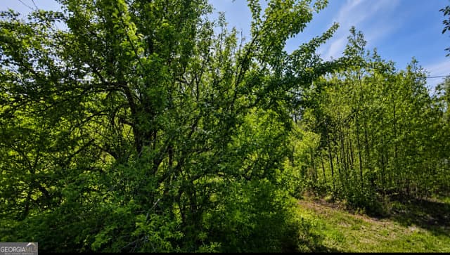 agriculture under contract at 382 Stewart Road, Meansville, GA 30256 — photo 4
