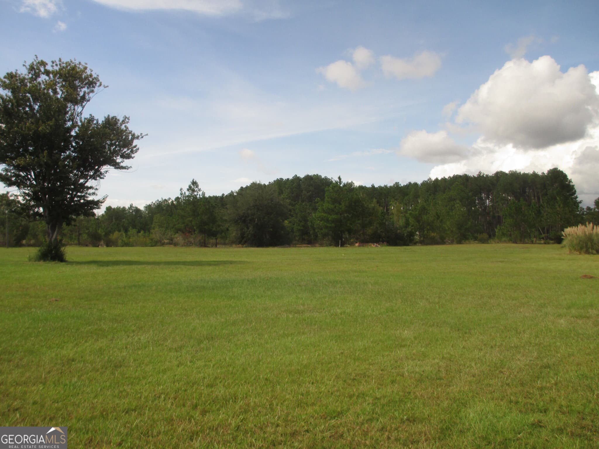 3 bedroom, 2 bathroom, 2,800 sq ft single family residence for sale at 646 Foster Steadham Road, Baxley, GA 31513 — photo 2