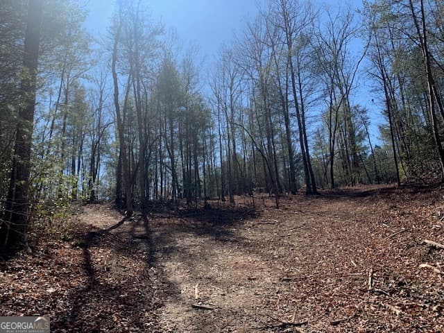 unimproved land for sale at 0 East New Hope Road TRACT A, Ellijay, GA 30536 — photo 2