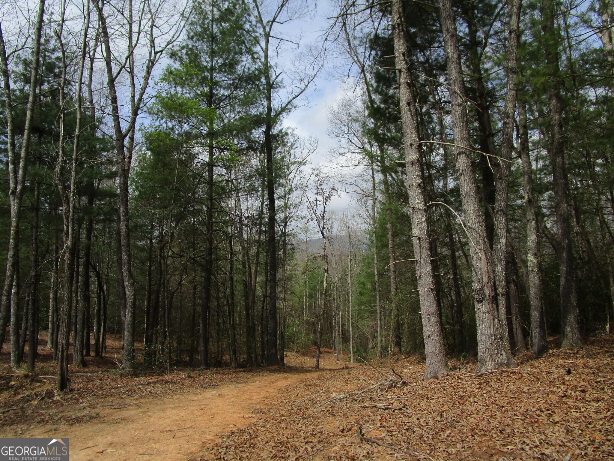 unimproved land for sale at 0 East New Hope Road TRACT A, Ellijay, GA 30536 — photo 7