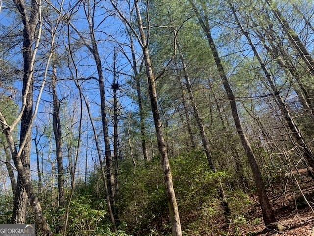 unimproved land for sale at 0 East New Hope Road TRACT A, Ellijay, GA 30536 — photo 3