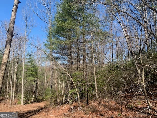 unimproved land for sale at 0 East New Hope Road TRACT A, Ellijay, GA 30536 — photo 1 of 11