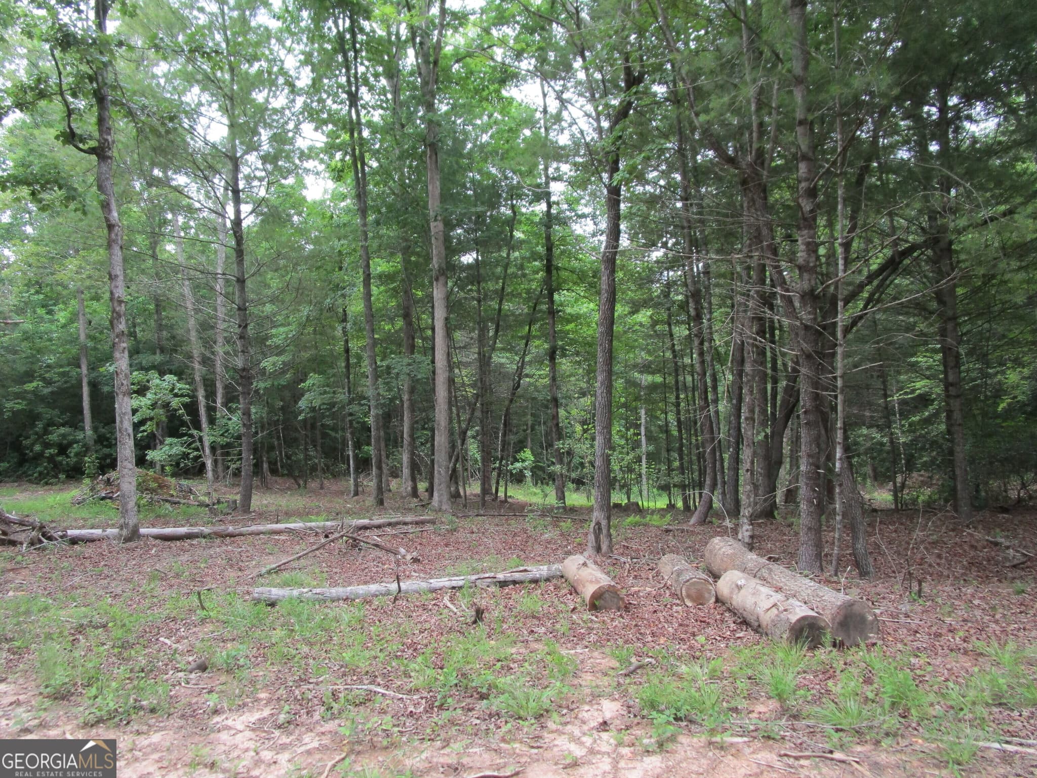 unimproved land for sale at 0 East New Hope Road TRACT A, Ellijay, GA 30536 — photo 5