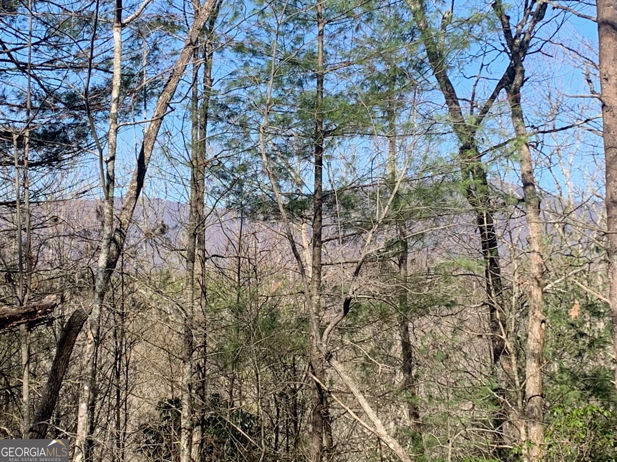 unimproved land for sale at 0 East New Hope Road TRACT A, Ellijay, GA 30536 — photo 10